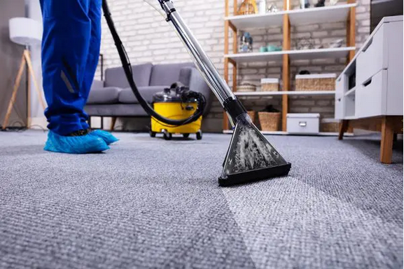 How to Prevent Mold and Mildew Growth in Your Hobart Carpets