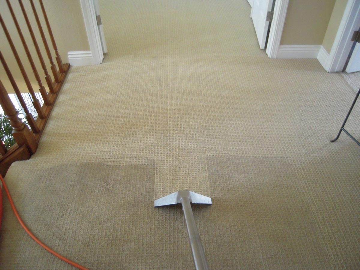 House Cleaning Hobart